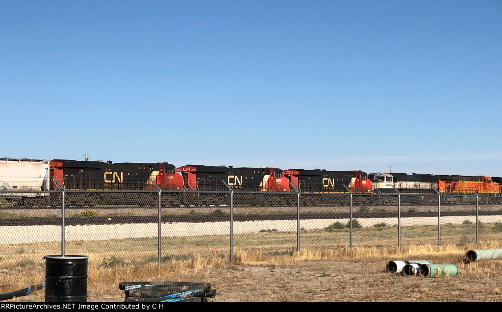 BNSF 9624/CN 2972/2843/2966